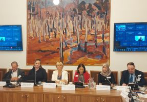 20 M-POHL Meeting panel discussion.jpg (Dokument, 1 MB)